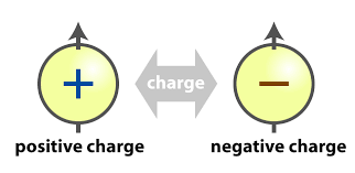 Positive and negative charges with their interactions