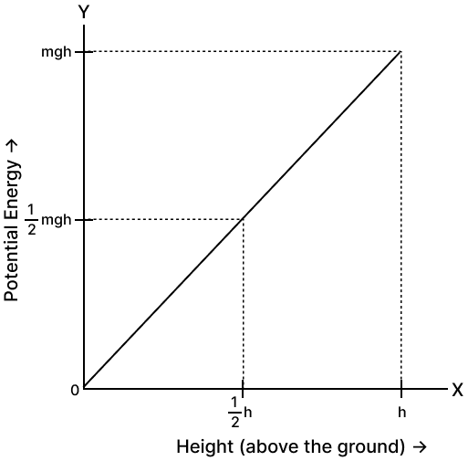 Descriptive Alt Text