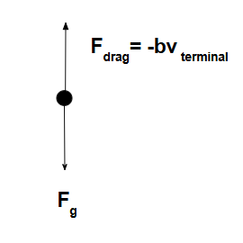 Descriptive Alt Text