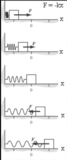 Descriptive Alt Text